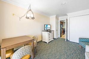 Direct Oceanfront at Coral Beach with Heated Pools