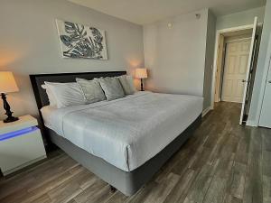 Captivating Coastal Charm - Oceanview Suite! PG 504