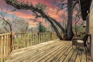 Historic UT Tree House, Walk to Moody Center