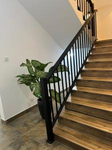 AB Villa