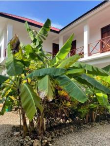 POLE-INN VILLA Nungwi Zanzibar