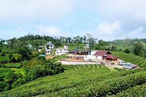 Heritage Vagamon Cottages