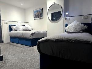 Cosy 1BR CityApt - Parking - 55Inch 4KTV - Sleeps 5