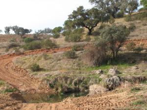 Herdade Do Rio Torto