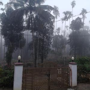 Vrindavanam Homestay Wayanad