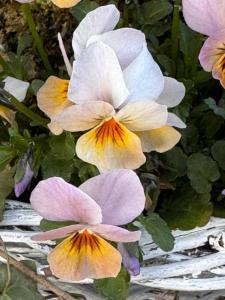 B&B Bad Tiefenau, HAUS AN DER QUELLE