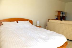 Spacious and bright house with swimming pool