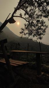 Cozy Happy Bungalow Nature Adventure