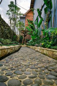 Melati bali