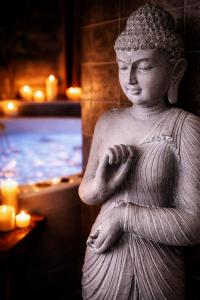 La jungle insolite, SPA, Écran cinéma, Lit à baldaquin king size, day use, 10 min centre