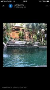 Melati bali