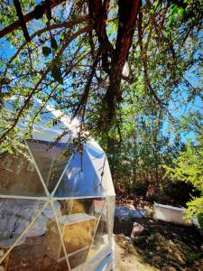 Glamp Refugio Silvestre 7 Tazas