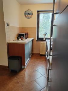 Apartment Roko Fazana