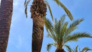 Holidays Port Grec Empuriabrava vista canal