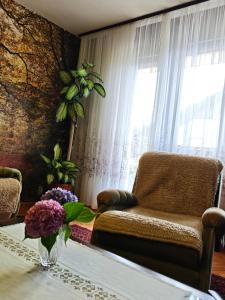 Vintage apartment Erjavec