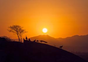 Storii By ITC Hotels, Jawai