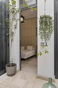 MonKeys Apartments Clavijo House