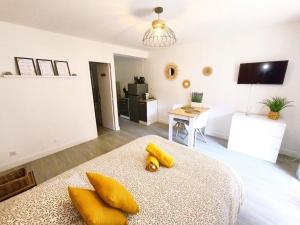 Élégant studio Gréoux Les Bains