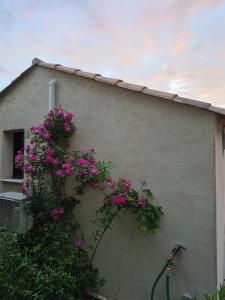 Maison dans la Provence Verte