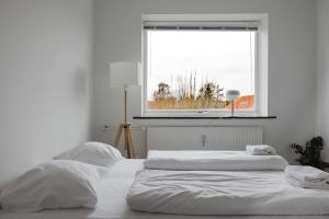 10 persons lovely Apt Close to City Center