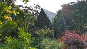 Birdsong eco cabana