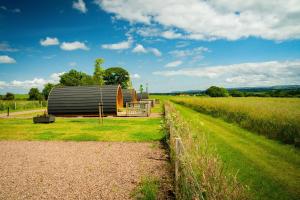 Jerusalem Farm Pods