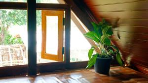 Birdsong eco cabana
