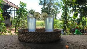 Birdsong eco cabana