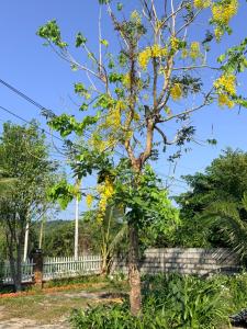 Trinh Nguyen Garden - Chi nhánh Công ty cổ phần Sản xuất Thương mại và Du lịch TN Group