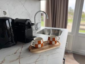 De Meerkoet Tiny House Tussen de Dijken