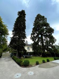 Residence Mont-Blanc