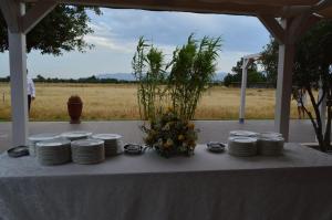 Agriresort Terradome img33