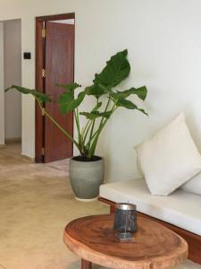 Kame House Ahangama