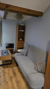 Apartament Riva
