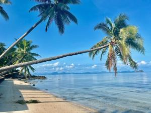 Beachfront Hide Away - Peaceful Tiny House