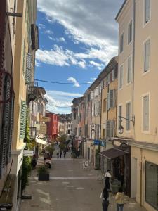 LOrelia - confortable T2 hyper centre