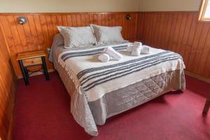 Cabañas Lago Tyndall