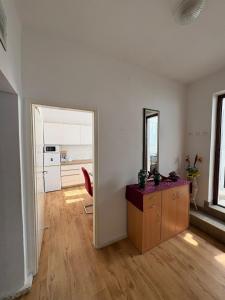Apartman Olga