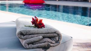 Dar Eddihi Essaouira