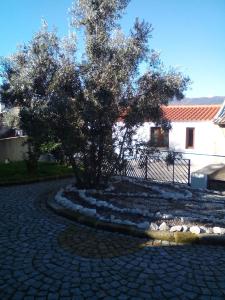 Casa Marias