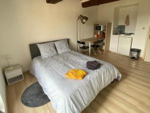 Charmant studio à Viens