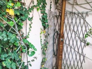 Holiday Home Casa Lilla by Interhome img18