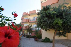 Iolkos Hotel Apartments Chania Greece