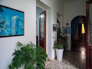 Apartment Su Cramu img22