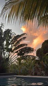 1 Bedroom Apartment on ground floor with access to swimming pool