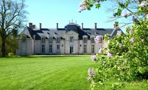 B&B / Chambres d'hotes Chateau La Touanne Loire valley : photos des chambres