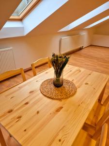 City Center Apartments - Zámeček Hybešova