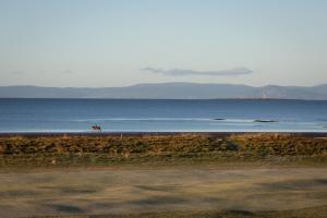 Blackrock House, an Iconic Home at Royal Troon