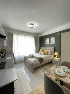 Studio Suite