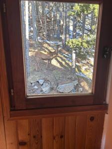 Chalet Vue sous cet Angles